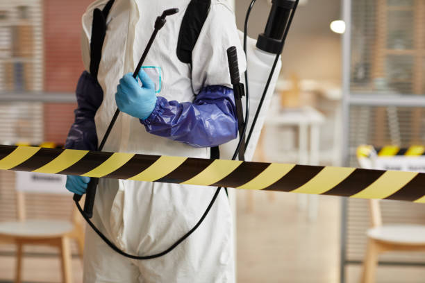 Professional Hoarding Cleanup technician working in Watertown, NY